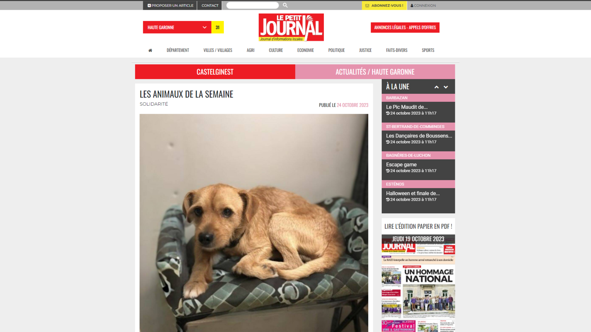 LES ANIMAUX DE LA SEMAINE - LE PETIT JOURNAL - 24 OCT. 2023