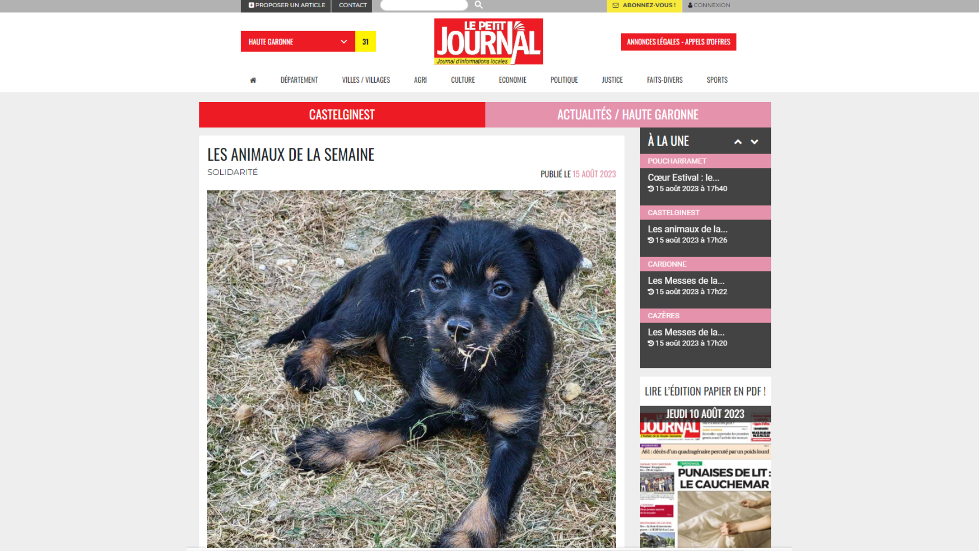 LES ANIMAUX DE LA SEMAINE PETIT JOURNAL 31 - 15-08-23