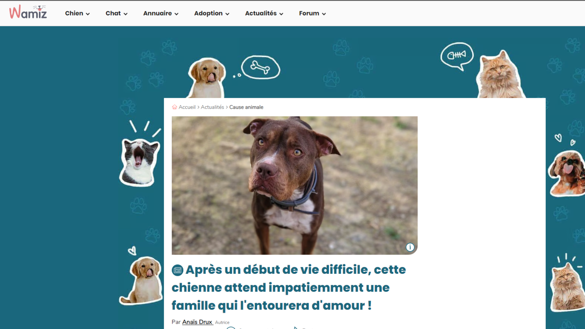 WAMIZ PARLE DE LA BELLE SHELKA 06-10-23