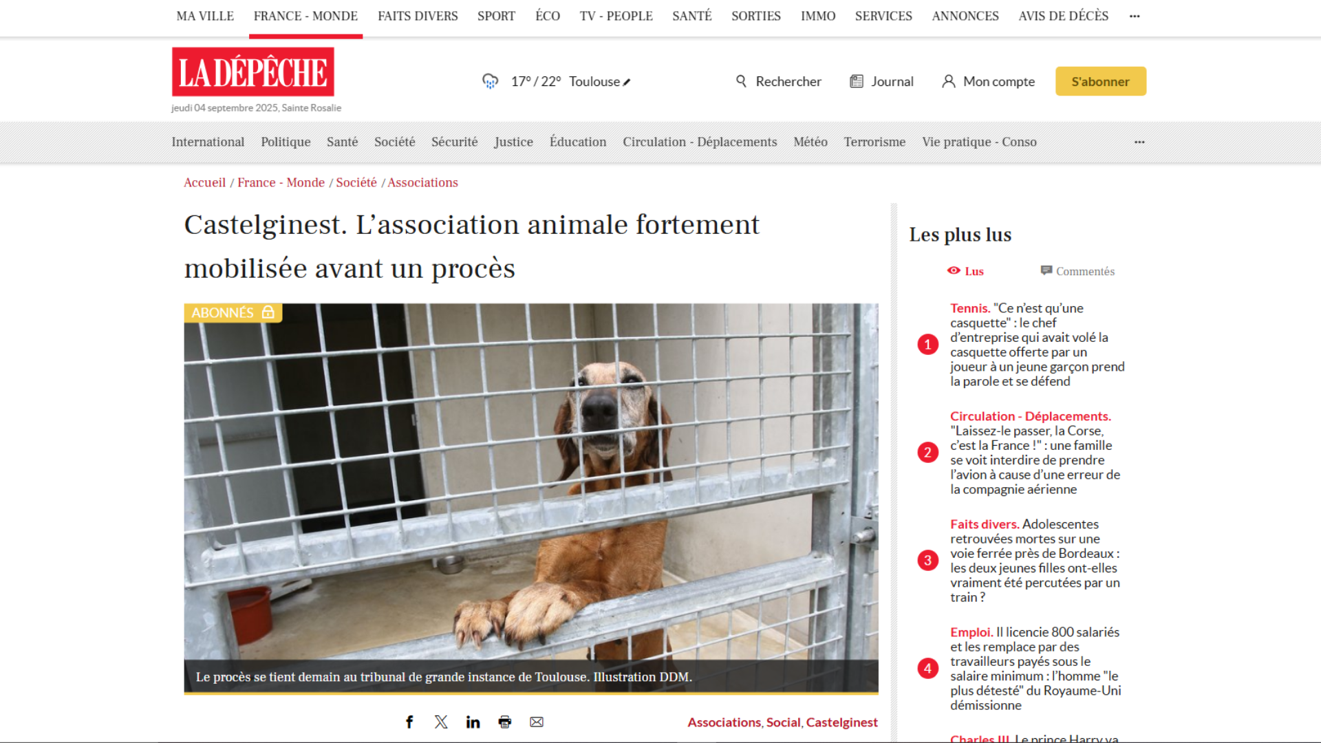 LE PROCÈS POUR 10 CHIENS MALTRAITÉS DANS LA DÉPÊCHE 04 SPT. 2025
