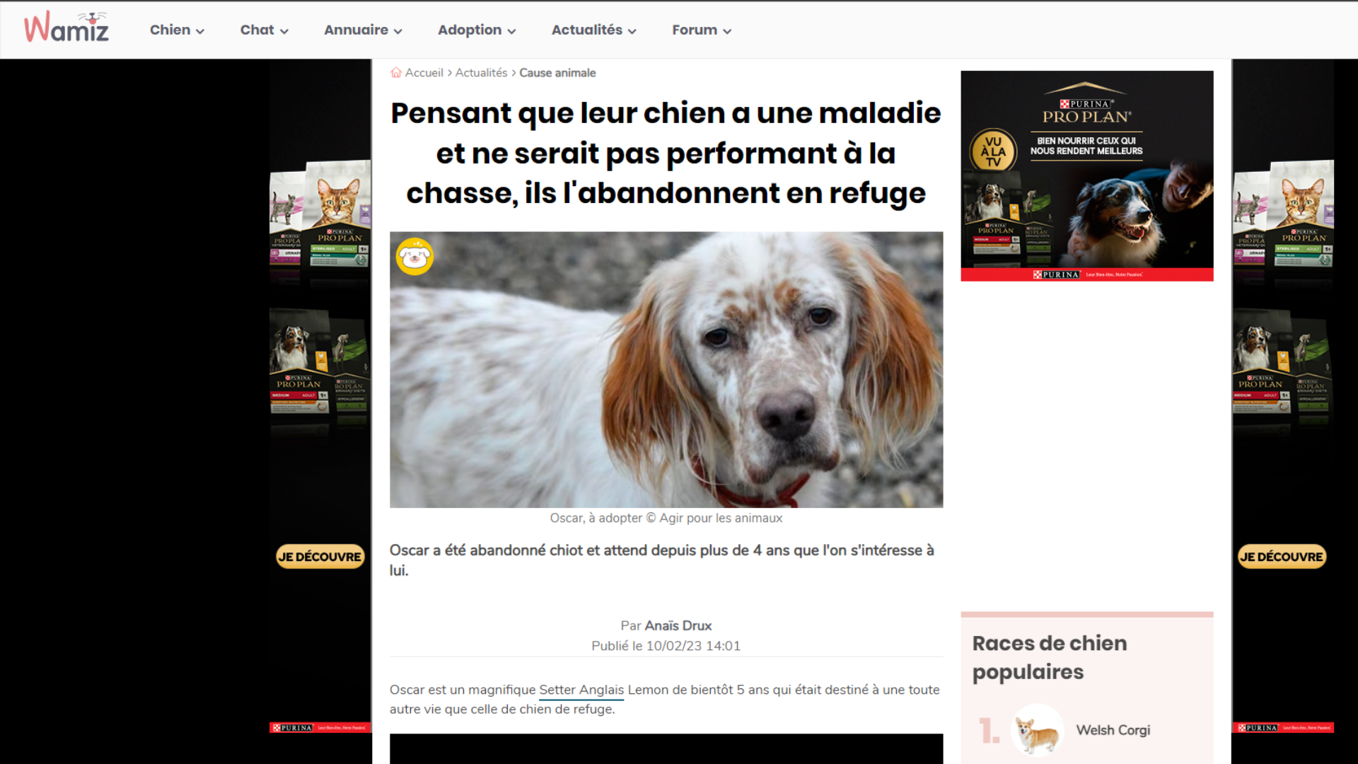 L'HISTOIRE D'OSCAR AVEC WAMIZ
