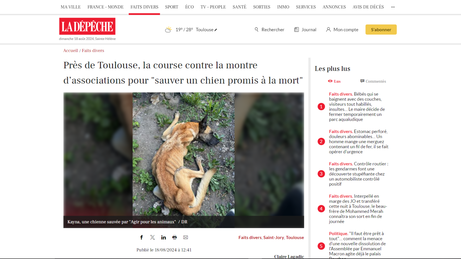 SAUVETAGE D'UN CHIEN À SAINT-JORY - LA DÉPÊCHE 18-08-2024
