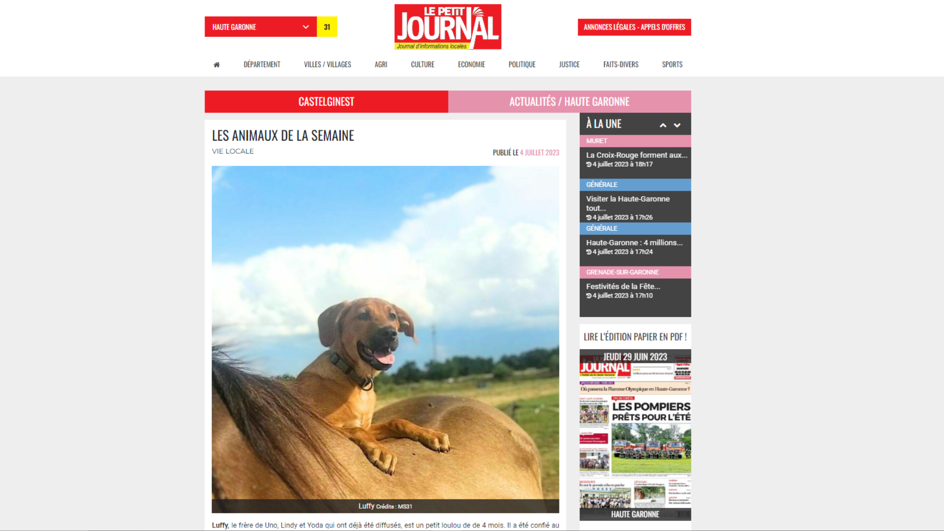 LES ANIMAUX DE LA SEMAINE DANS LE PETIT JOURNAL 31 LE 04-07-23