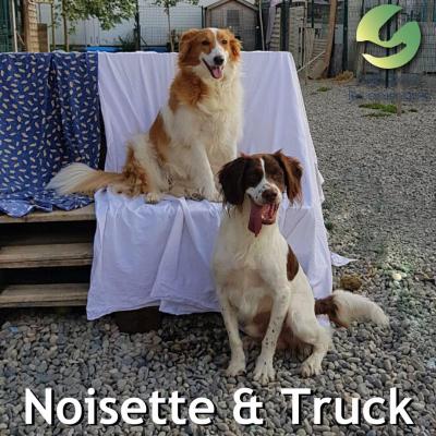 TRUCK &amp; NOISETTE