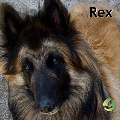 REX