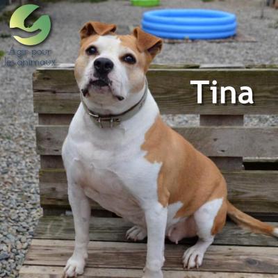 TINA