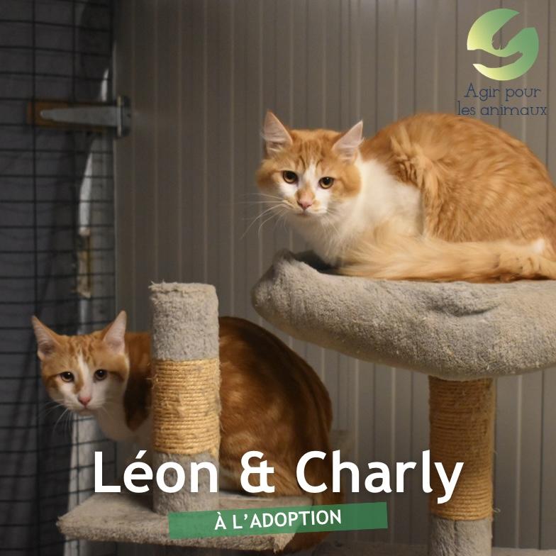 Charly &amp; Léon