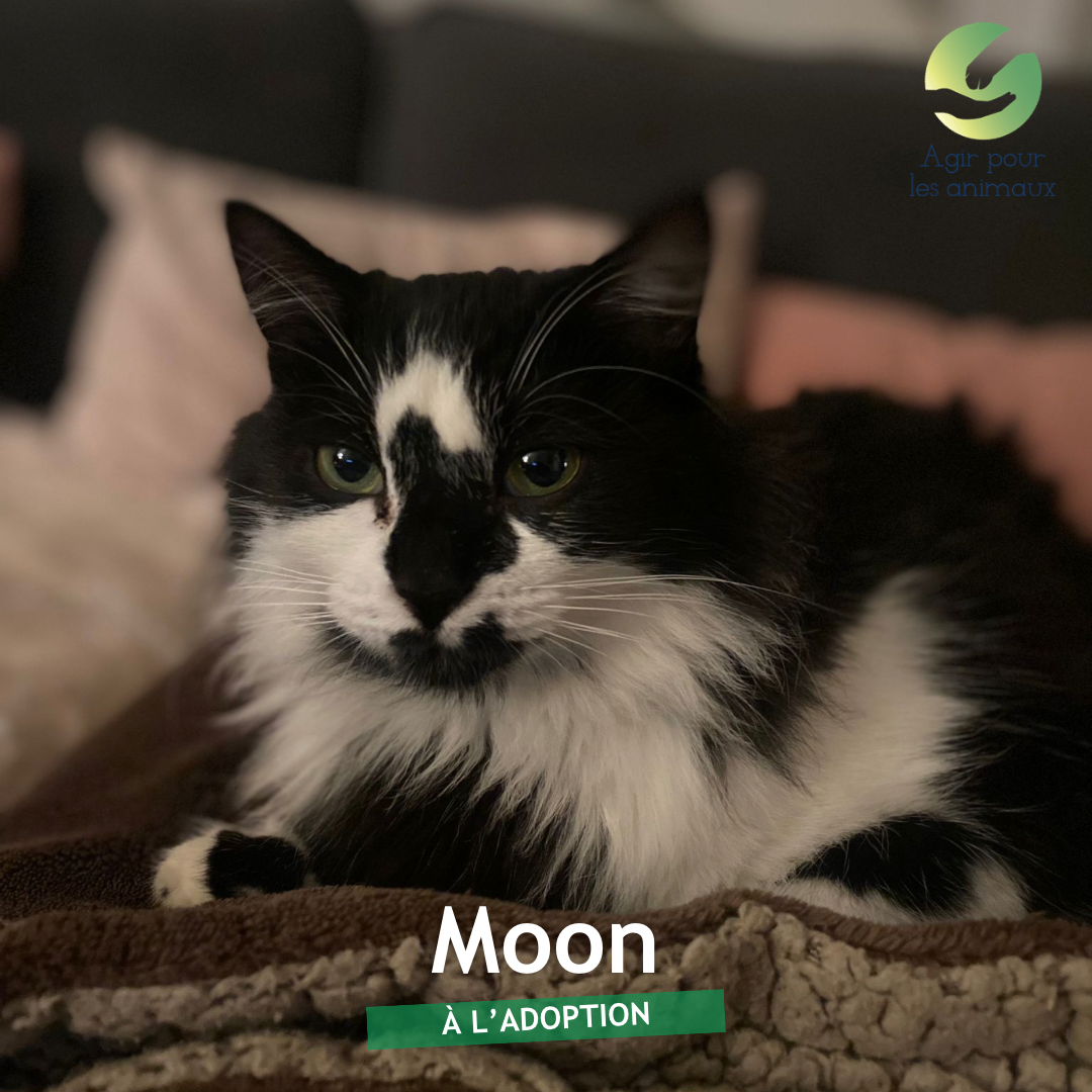 MOON