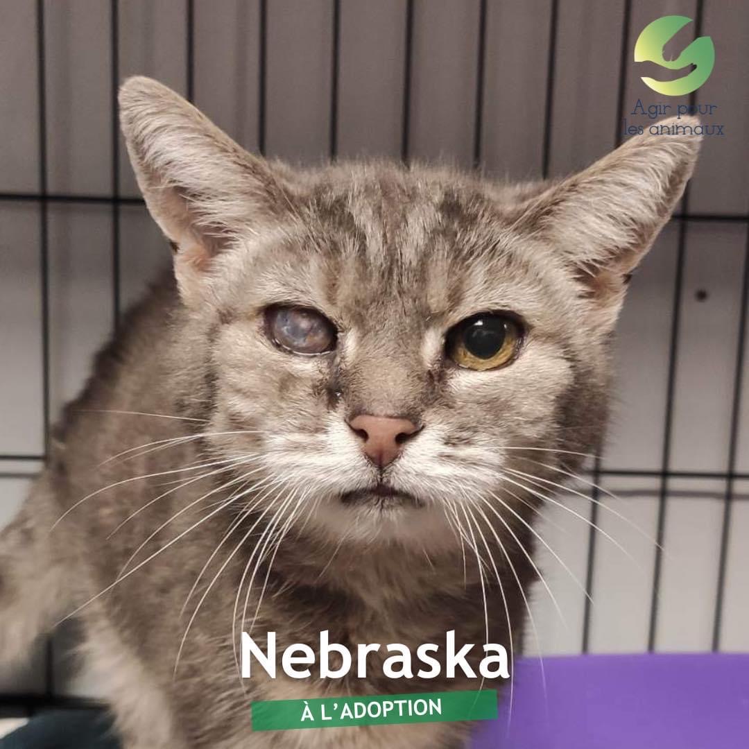 NEBRASKA